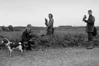 Falconry