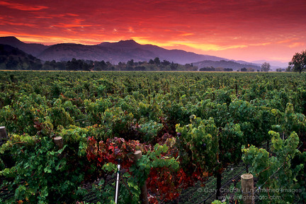 Napa_1232a_900
