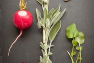 Veg_board