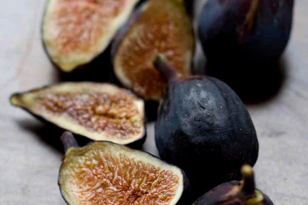Figs__1_of_1_